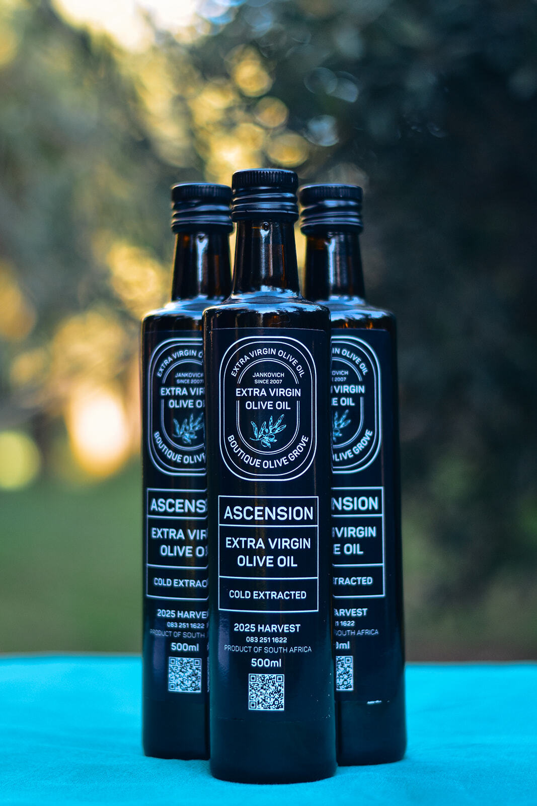 Ascension Extra Virgin Olive Oil - 2025 Harvest